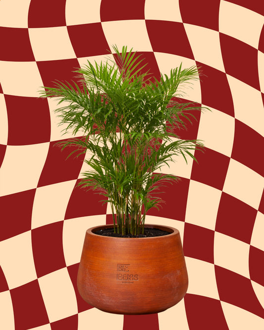 Bamboo Rise
