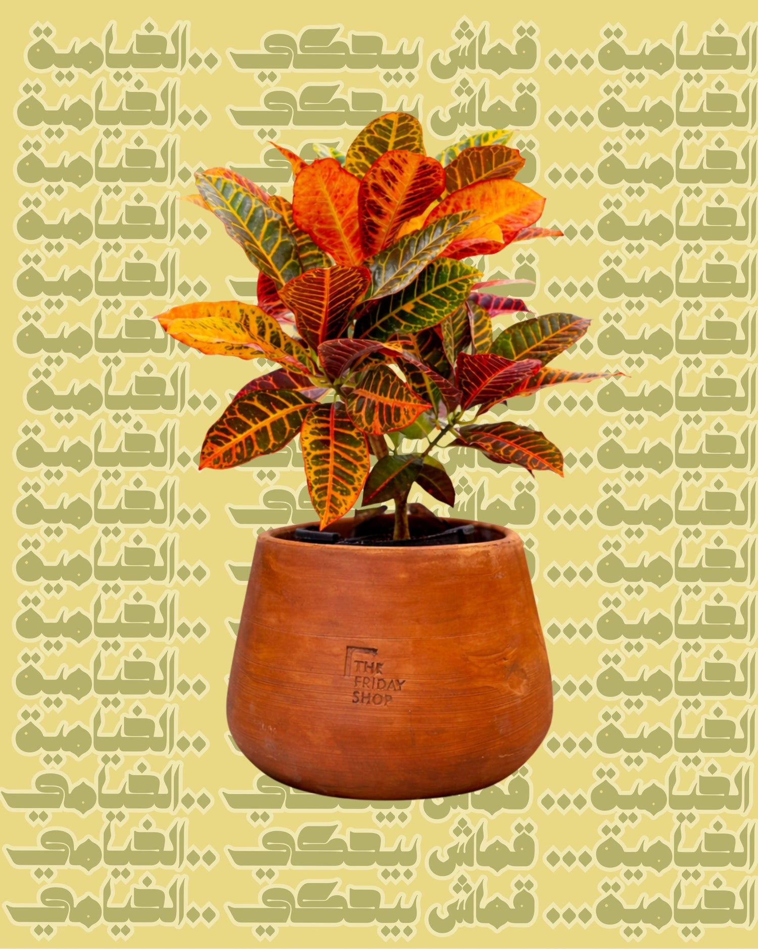 توته توته بدأت الحدوته