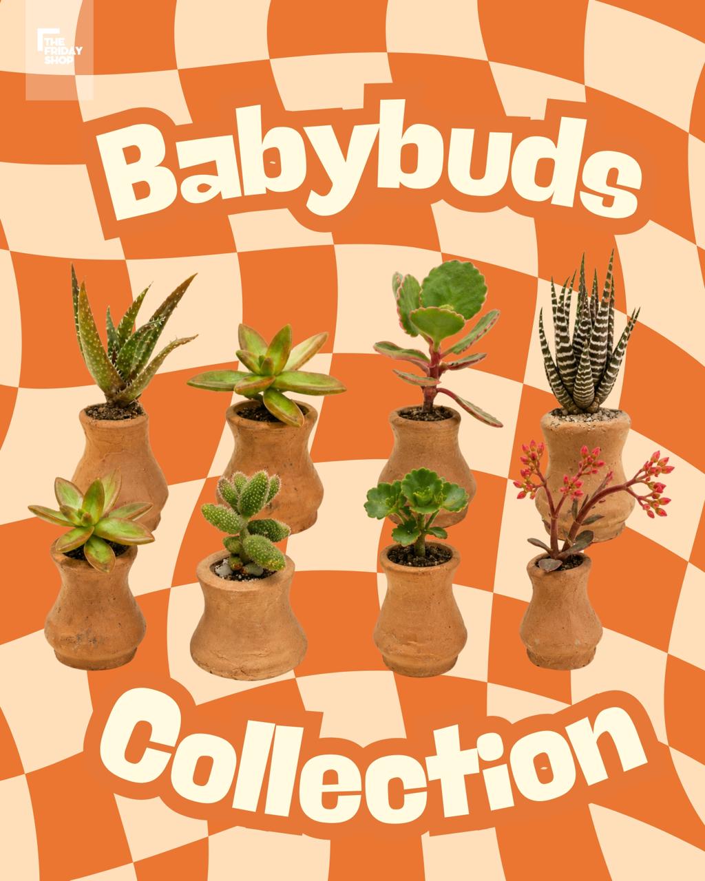 Babybuds Set