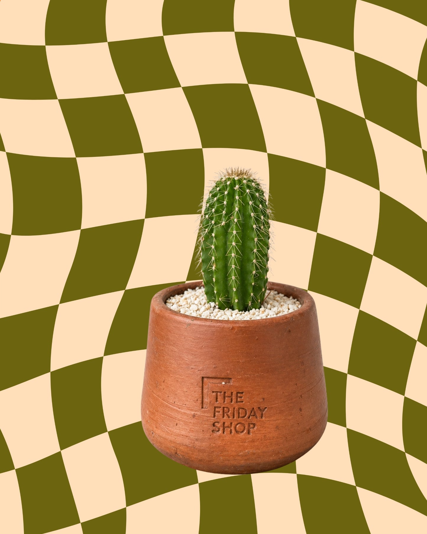 OG Cactus