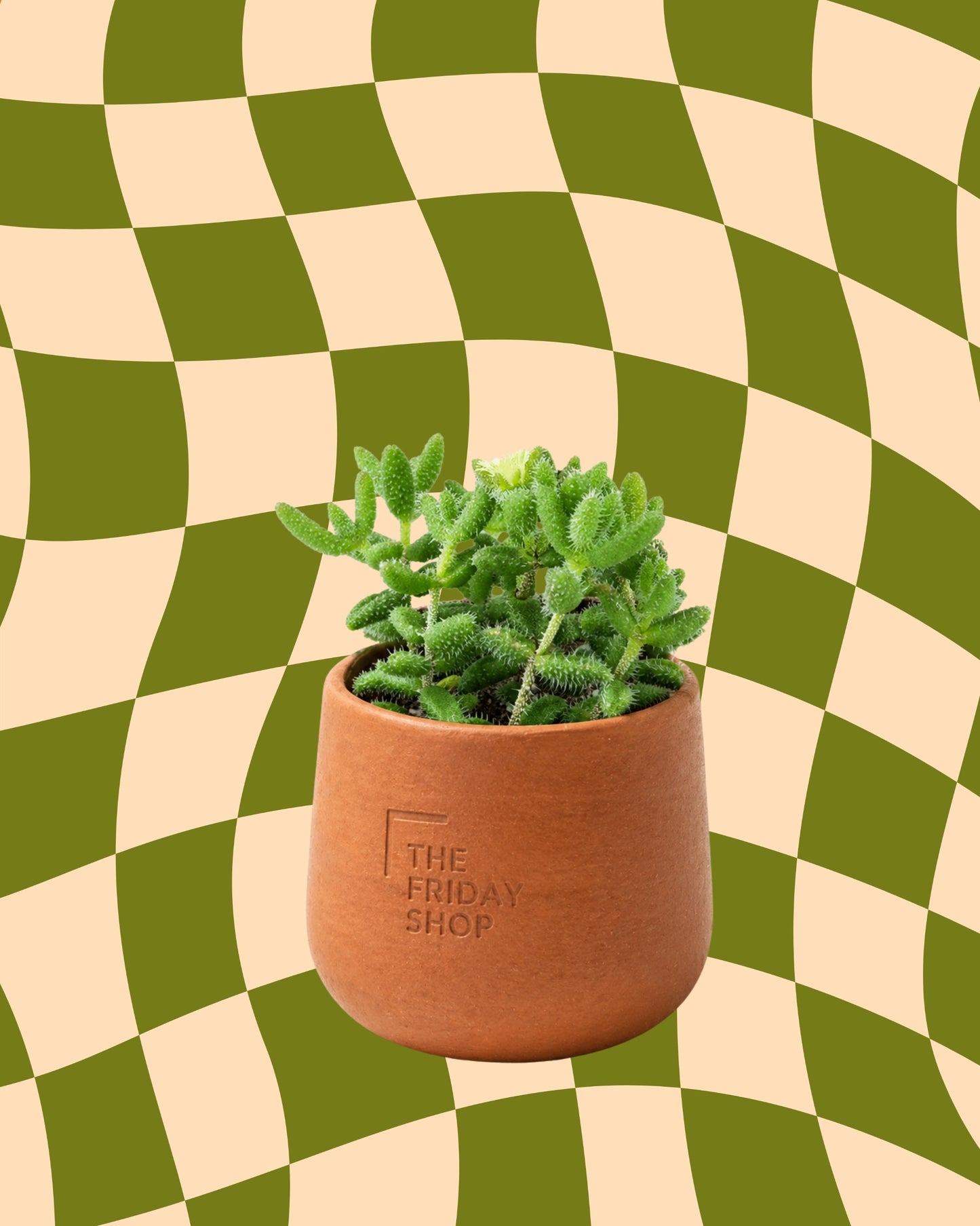 Pickle Plant