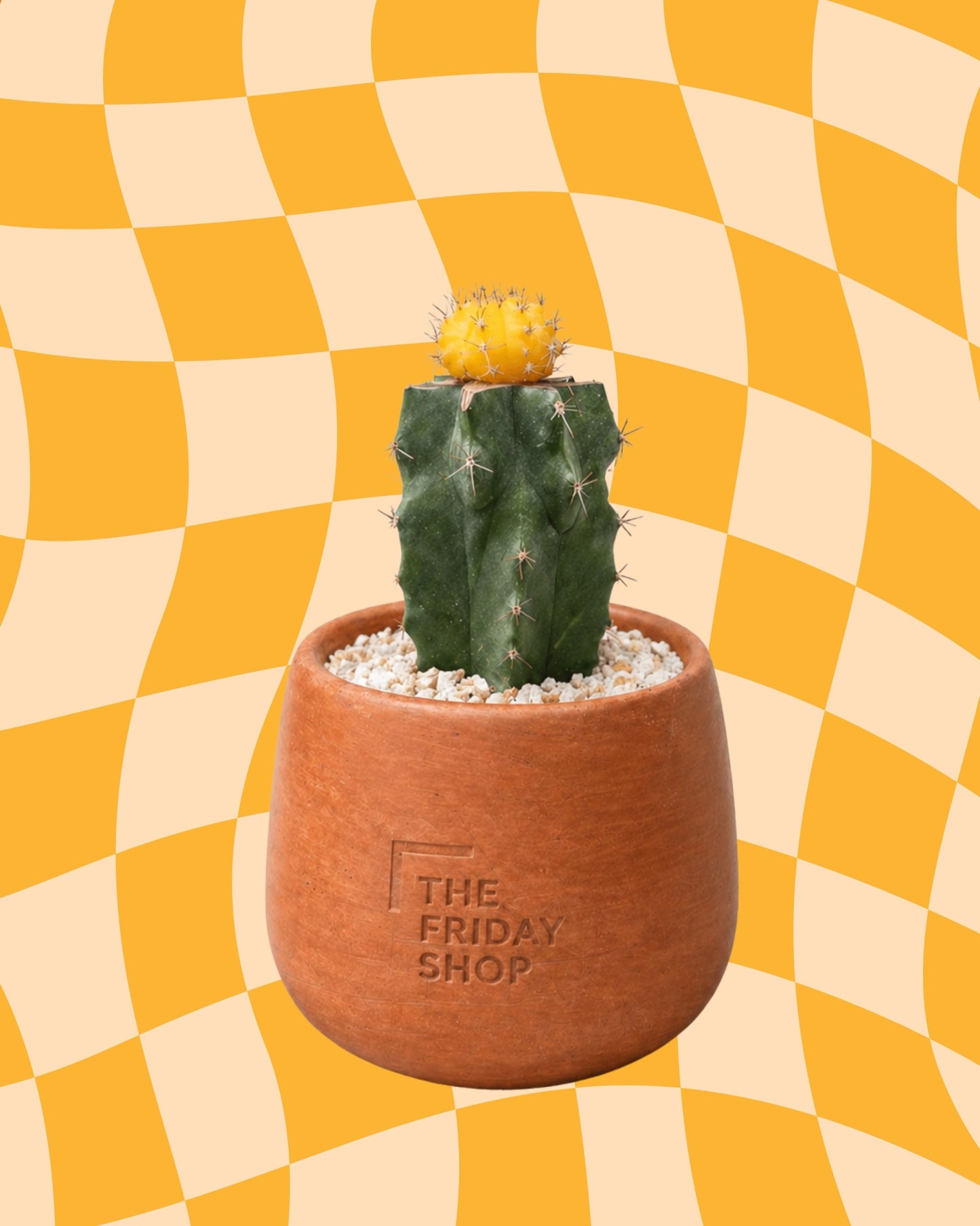 Lemon on top