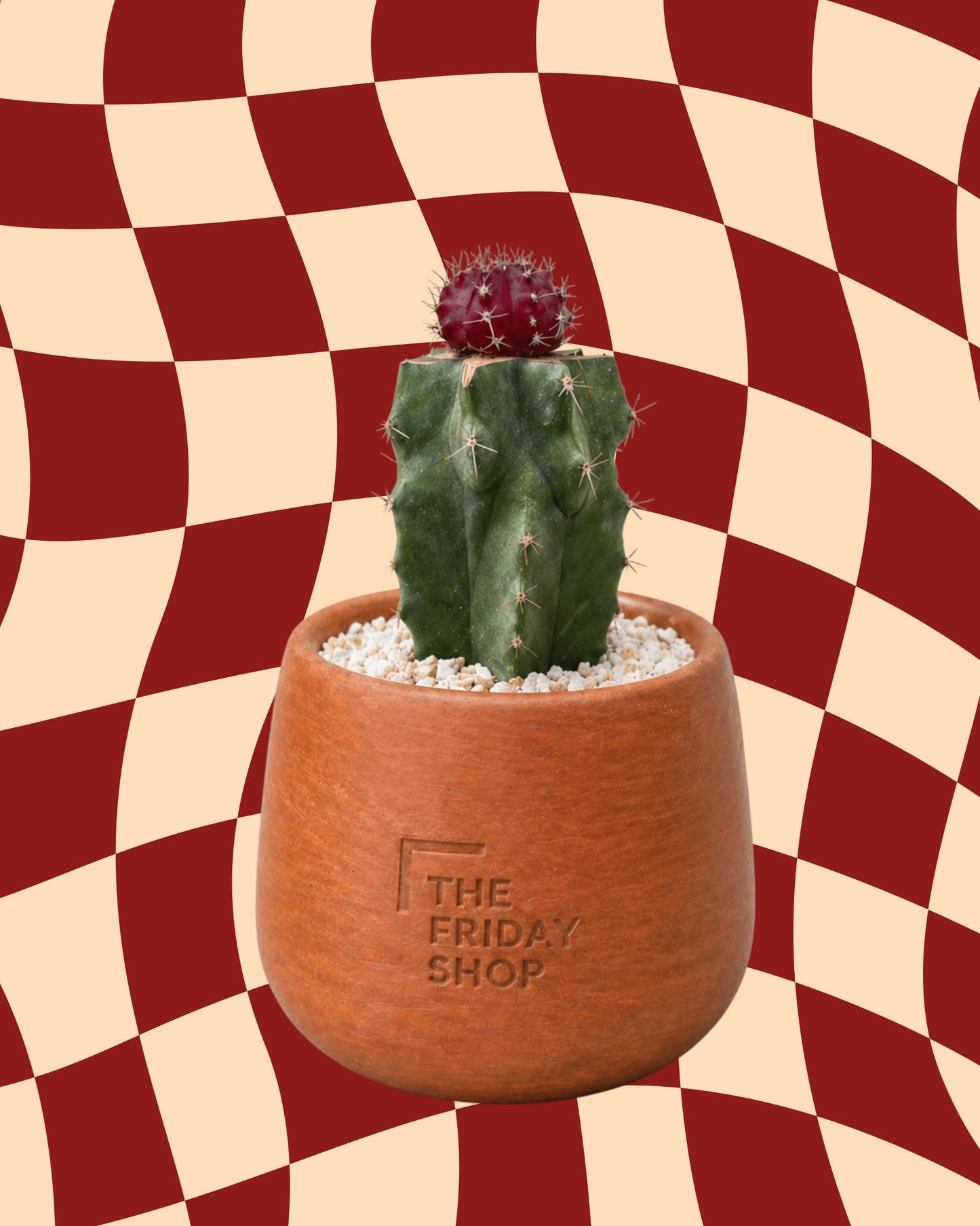 Ruby on top