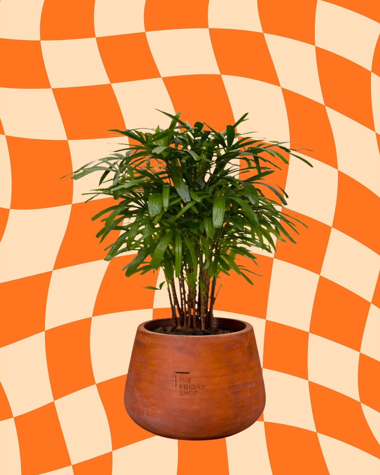 Canopy Calms