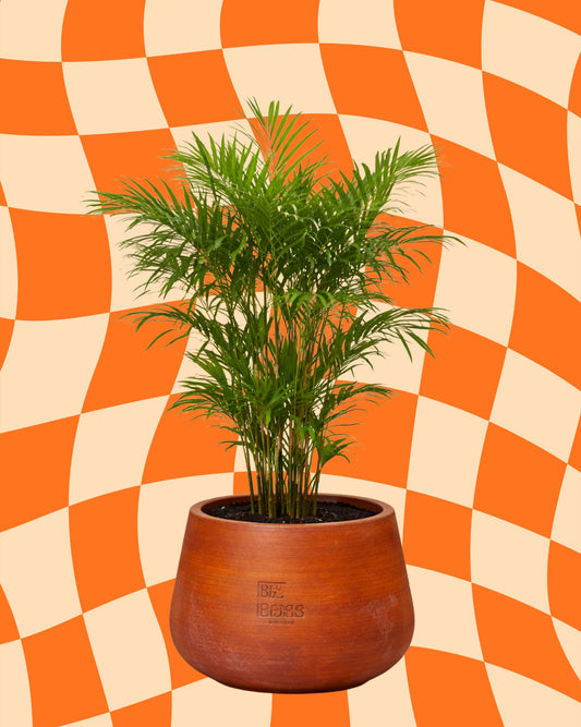 Bamboo Rise